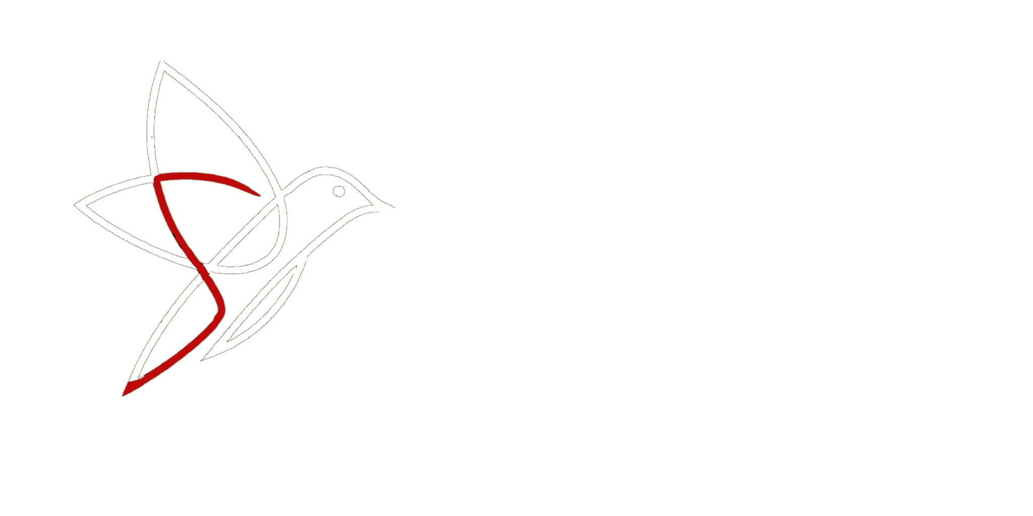 Swift Transformation Logo